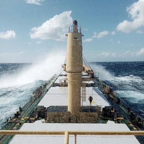 tainoship projects 10 ba1756ca